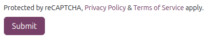 表单上显示的 reCAPTCHA 政策信息