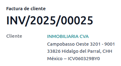 向公众开具 CFDI 复选框
